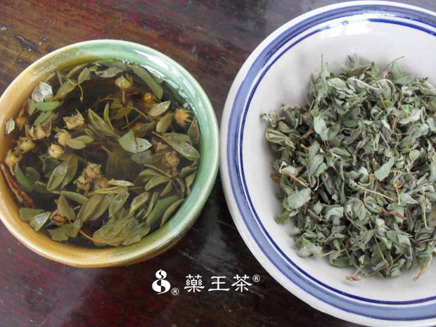 竞速体育app
