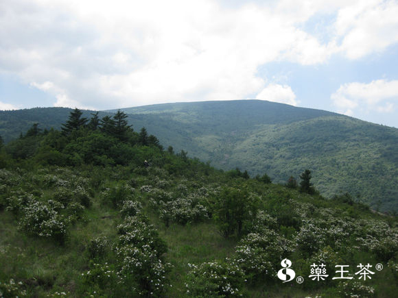 竞速体育app
