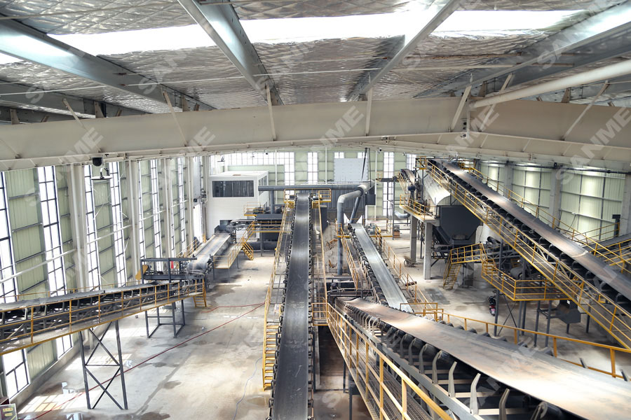 山美集团承担的国家重点研发计划项目示范生产线顺利通过专家组验收